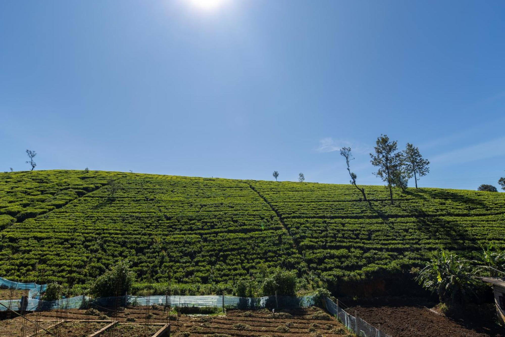 Palazzo Lake Gregory Nuwara Eliya Exterior photo